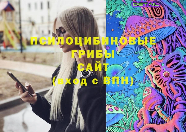индика Нея