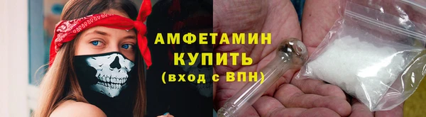 гидра Абаза