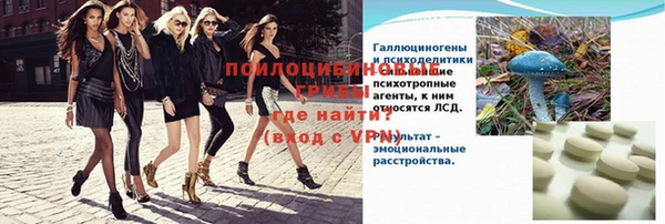 гидра Абаза