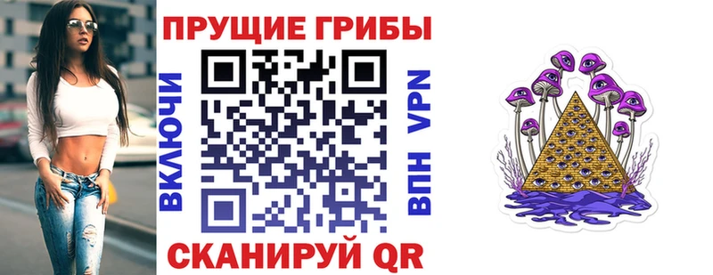 Псилоцибиновые грибы Psilocybe блэк спрут ONION Суздаль